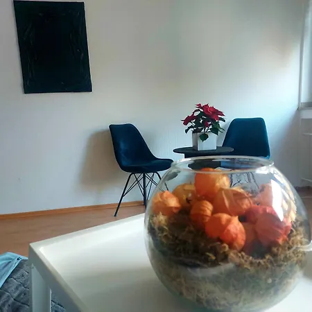 Central And Calm In Apartamento *